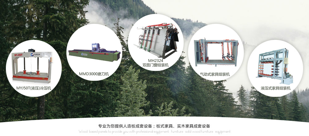 專用于聚氨酯涂料和彈性體的異辛酸鉍催化劑，提供卓越的固化性能